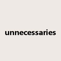 unnecessaries是什么意思