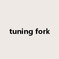 tuning fork是什么意思