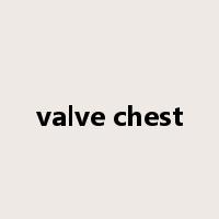 valve chest是什么意思