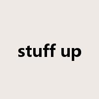 stuff up是什么意思