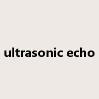 ultrasonic echo是什么意思