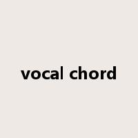 vocal chord是什么意思