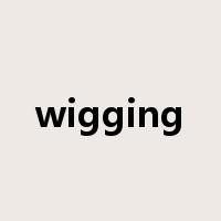 wigging是什么意思