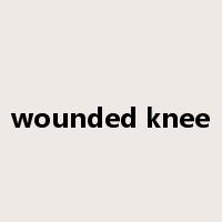 wounded knee是什么意思