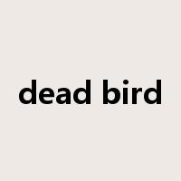 dead bird是什么意思