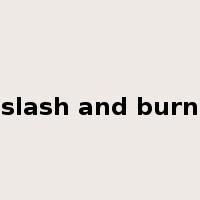 slash and burn是什么意思