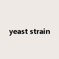 yeast strain是什么意思