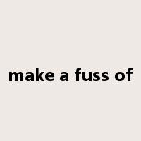 make a fuss of是什么意思