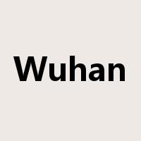 Wuhan是什么意思
