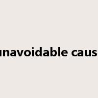 unavoidable cause是什么意思