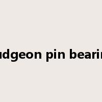gudgeon pin bearing是什么意思