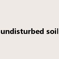 undisturbed soil是什么意思