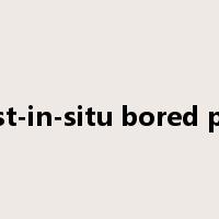 cast-in-situ bored pile是什么意思