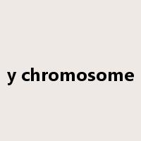y chromosome是什么意思