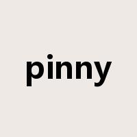 pinny是什么意思