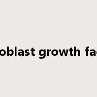 fibroblast growth factor是什么意思