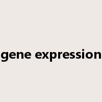 gene expression是什么意思