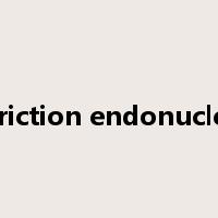 restriction endonuclease是什么意思