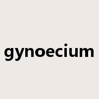 gynoecium是什么意思