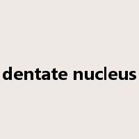 dentate nucleus是什么意思