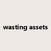 wasting assets是什么意思