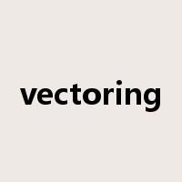 vectoring是什么意思