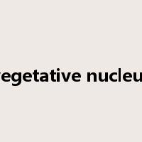 vegetative nucleus是什么意思