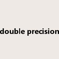 double precision是什么意思
