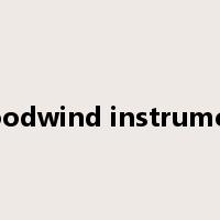 woodwind instrument是什么意思