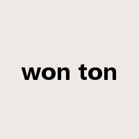 won ton是什么意思