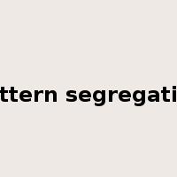 pattern segregation是什么意思