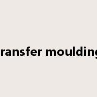 transfer moulding是什么意思