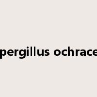 Aspergillus ochraceus是什么意思