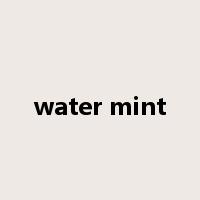 water mint是什么意思