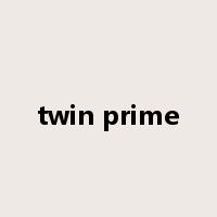 twin prime是什么意思