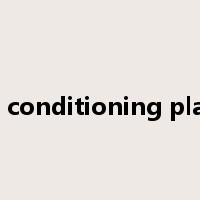 air conditioning plant是什么意思