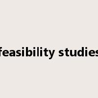 feasibility studies是什么意思