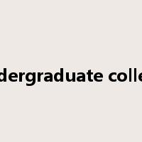 undergraduate college是什么意思