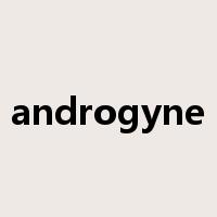 androgyne是什么意思
