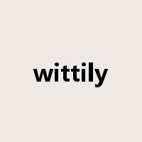 wittily是什么意思