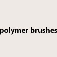 polymer brushes是什么意思
