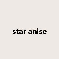 star anise是什么意思