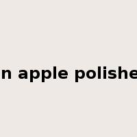 an apple polisher是什么意思