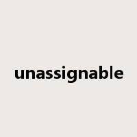 unassignable是什么意思