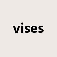 vises是什么意思