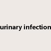urinary infection是什么意思