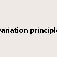 variation principle是什么意思