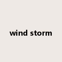wind storm是什么意思