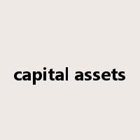 capital assets是什么意思