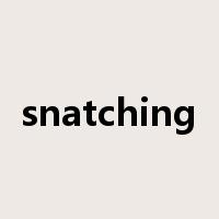 snatching是什么意思